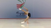 A309.mp4