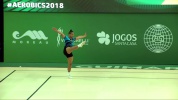 D196_examples2018.mp4