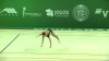 C 418 : 1/1 TURN SPLIT JUMP TO PUSH UP