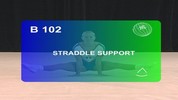 B102-Straddle_Support