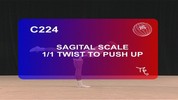 224-sagital_scale_1twist_airborne_to_push_up