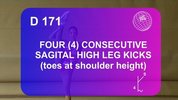 D171-Four_Consecutive_Sagital_High_Leg_Kicks.flv