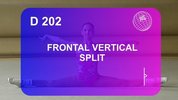 D202-Frontal_Vertical_Split.flv