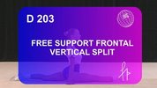 D203-Free_Support_Frontal_Vertical_Split.flv