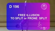 D196-Free_Illusion_to_Split.flv