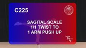 C225-sagital_scale_1twist_airborne_to_1arm_push_up.flv