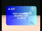 A_VHighVSupport_simply.mpeg