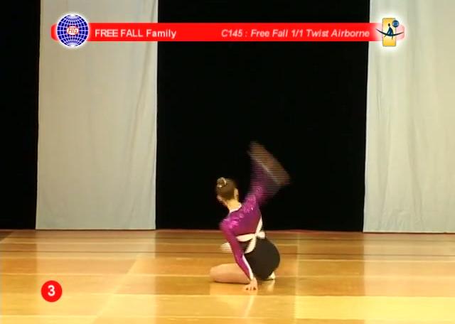FREE FALL : Some examples