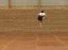 C 346 : 1½ TURN COSSACK JUMP
