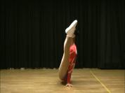 B184_2012.avi