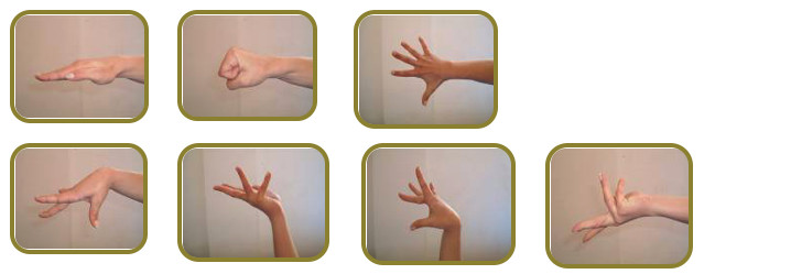 2. The Aerobic Content – Max. 2 Points (2017) 2. The Aerobic Content – Max. 2 Points (2017)