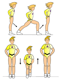 description of the basic