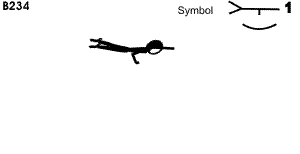 B 234 : 1 ARM FULL SUPPORT STRADDLE LEVER