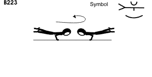 B 223 : FULL SUPPORT STRADDLE LEVER ½ TURN