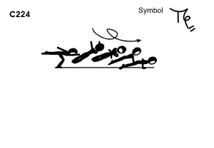 C 224 : SAGITTAL SCALE 1/1 TWIST AIRBORNE TO PUSH UP (TAMARO)