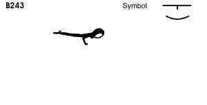 B 243 : FULL SUPPORT LEVER B 243 : FULL SUPPORT LEVER