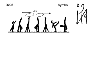 D 208 : DOUBLE ILLUSION TO FREE VERTICAL SPLIT