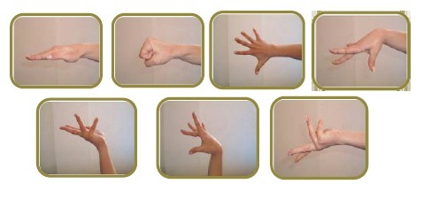 2. The Aerobic Content – Max. 2 Points (2013) 2. The Aerobic Content – Max. 2 Points (2013)