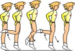 DESCRIPTION OF THE BASIC STEPS (2013) DESCRIPTION OF THE BASIC STEPS (2013)