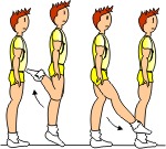 DESCRIPTION OF THE BASIC STEPS (2013) DESCRIPTION OF THE BASIC STEPS (2013)