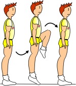 DESCRIPTION OF THE BASIC STEPS (2013) DESCRIPTION OF THE BASIC STEPS (2013)