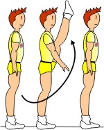 DESCRIPTION OF THE BASIC STEPS (2013) DESCRIPTION OF THE BASIC STEPS (2013)