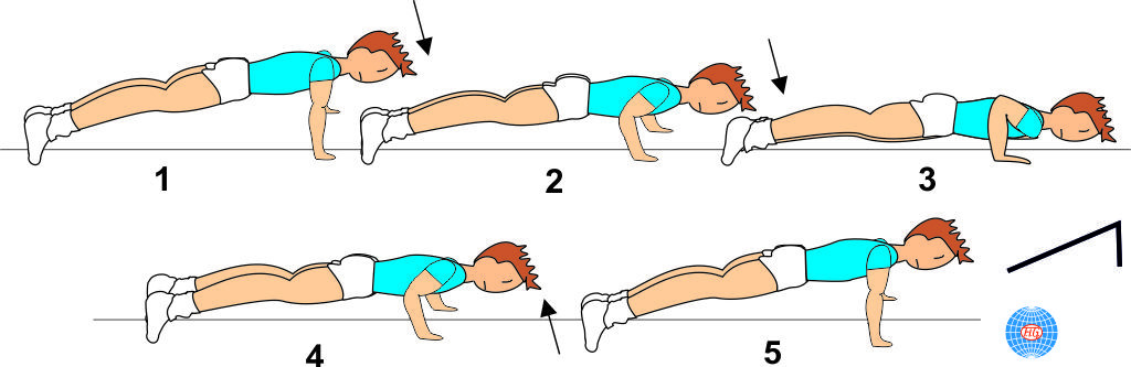 PUSH UP PUSH UP