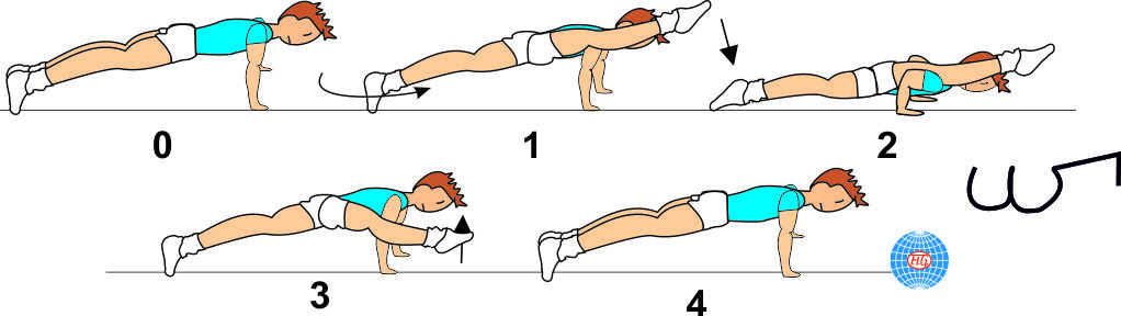 WENSON PUSH UP WENSON PUSH UP