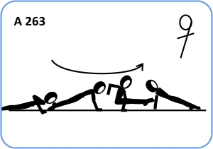 A 263 : DOUBLE LEG 1/2 CIRCLE A 263 : DOUBLE LEG 1/2 CIRCLE