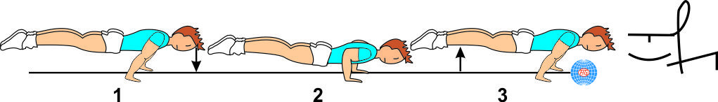 PLANCHE TO PUSH-UP PLANCHE TO PUSH-UP