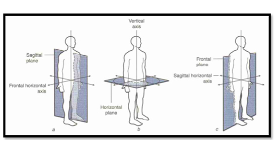 AER NL 27 - October 11 (English) AER NL 27 - October 11 (English)