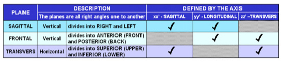 AER NL 27 - October 11 (English) AER NL 27 - October 11 (English)