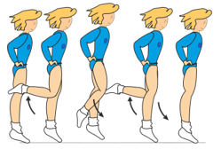 7-BASIC STEPS DESCRIPTION