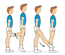 7-BASIC STEPS DESCRIPTION