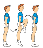 7-BASIC STEPS DESCRIPTION