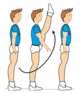 7-BASIC STEPS DESCRIPTION