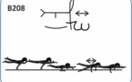 B 208 : STRADDLE PLANCHE TO LIFTED WENSON BOTH SIDES