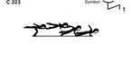 C 223 : SAGITTAL SCALE AIRBORNE TO 1 ARM PUSH UP