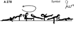 A 278 : DOUBLE LEG 1/1 CIRCLE TO WENSON