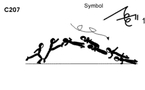 C 207 : GAINER 1 ½ TWIST TO 1 ARM PUSH UP