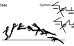 C 566 : PIKE JUMP ½ TWIST TO FRONTAL SPLIT OR PRONE SPLIT  