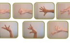 2.	The Aerobic Content – Max. 2 Points (2013)