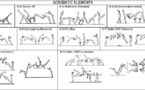7.1 ACROBATIC ELEMENTS &amp; PROHIBITED MOVES (2013-2016)