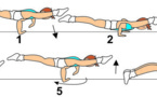 A 154 : LIFTED WENSON HINGE PUSH UP OR LATERAL PUSH UP