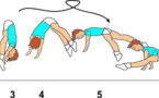 A 208 : EXPLOSIVE A-FRAME ½ TURN TO LIFTED WENSON