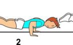B 219 : PLANCHE TO PUSH-UP