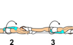 D 103 : SPLIT ROLL