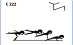 C 222 : SAGITTAL SCALE AIRBORNE TO PUSH UP	