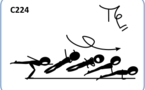 C 224 : SAGITTAL SCALE 1/1 TWIST AIRBORNE TO PUSH UP  (TAMARO)