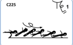 C 225 : SAGITTAL SCALE 1/1 TWIST AIRBORNE TO 1 ARM PUSH UP (TAMARO TO 1 ARM PUSH UP)